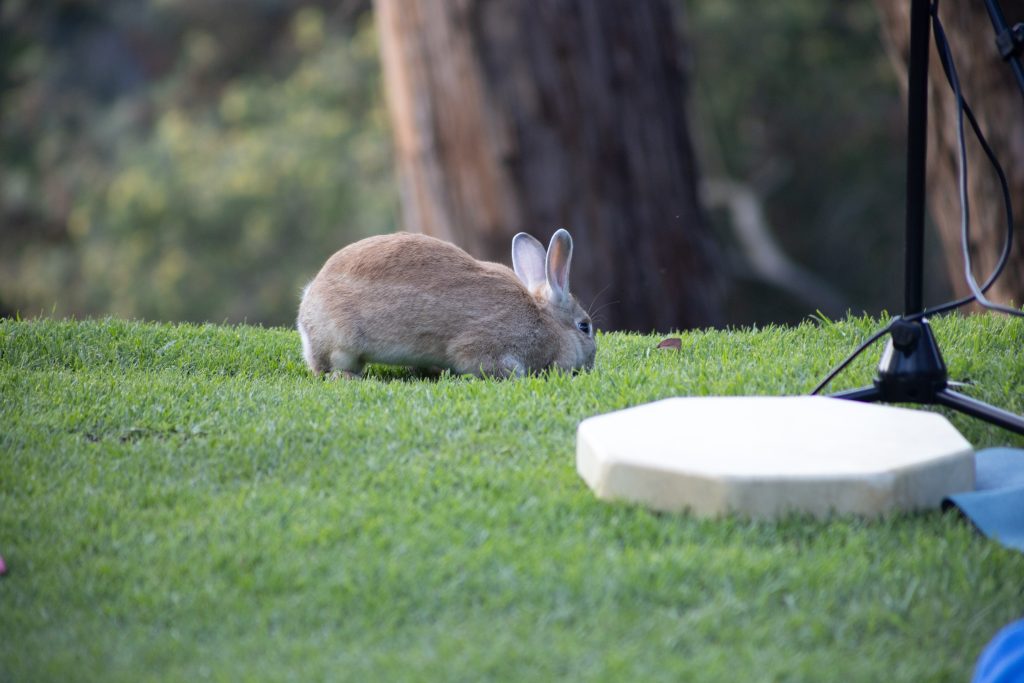 Imagen de inspiración mostrando superación personal y motivación para transformar vidas y alcanzar metas